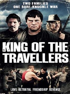 世仇部落 King of the Travellers (2013) - 毒蛇电影