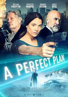 完美计划 A Perfect Plan (2020) - 毒蛇电影