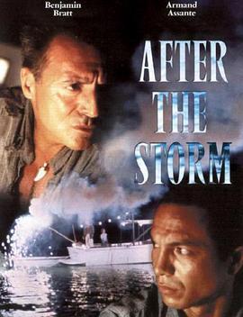 暴风雨过后 After the Storm (2001) - 毒蛇电影