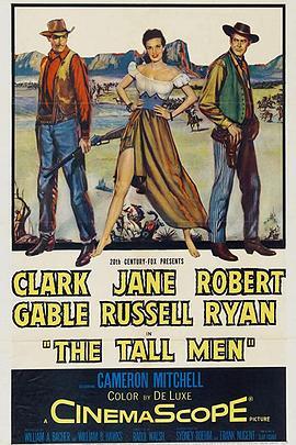 铁汉娇娃 The Tall Men (1955) - 毒蛇电影