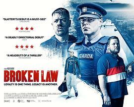 规则破坏 Broken Law (2020) - 毒蛇电影