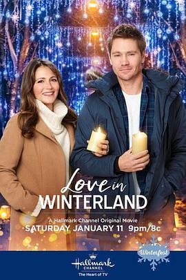 爱在冬日 LOVE IN WINTERLAND (2020) - 毒蛇电影