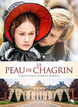 驴皮记 La peau de chagrin (2010) - 毒蛇电影