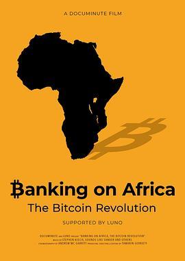 非洲银行业务：比特币革命 Banking on Africa: The Bitcoin Revolution (2020) - 毒蛇电影