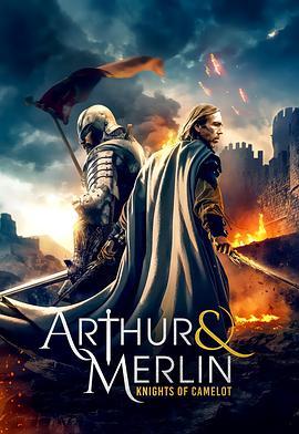 亚瑟与梅林：圣杯骑士 Arthur & Merlin: Knights of Camelot (2020) - 毒蛇电影