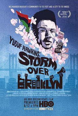 布鲁克林风暴 Yusuf Hawkins: Storm Over Brooklyn (2020) - 毒蛇电影