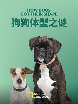 狗狗体型之谜 How Dogs Got Their Shapes (2016) - 毒蛇电影