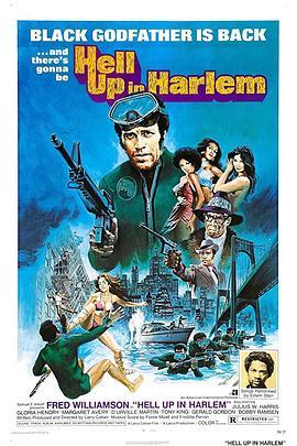 哈莱姆地狱 Hell Up in Harlem (1973) - 毒蛇电影