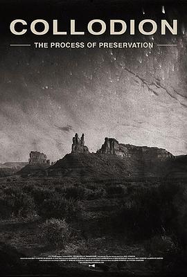 火棉摄影：保护的过程 Collodion: The Process of Preservation (2020) - 毒蛇电影