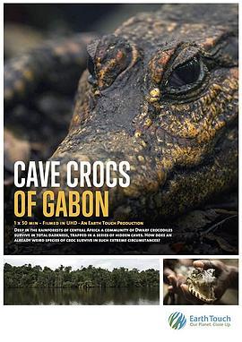 Cave Crocs of Gabon  (2018) - 毒蛇电影