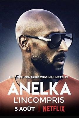 阿内尔卡：全是误解 Anelka: L'Incompris (2020) - 毒蛇电影