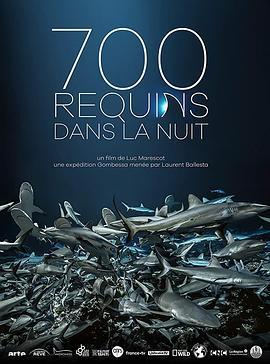 鲨鱼探秘 700 requins dans la nuit (2019) - 毒蛇电影