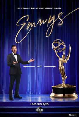 第72届黄金时段艾美奖颁奖典礼 The 72nd Primetime Emmy Awards (2020) - 毒蛇电影