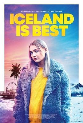 冰岛是最棒的地方 Iceland Is Best (2020) - 毒蛇电影