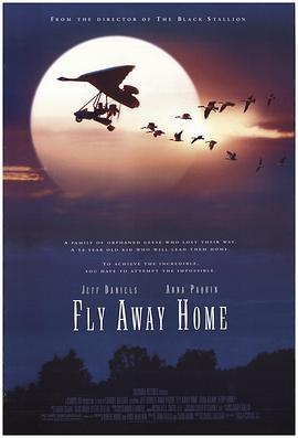 伴你高飞 Fly Away Home (1996) - 毒蛇电影