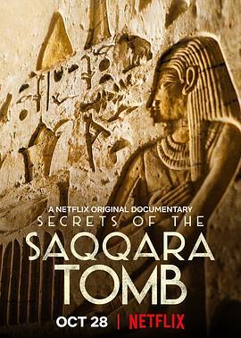 塞加拉陵墓揭秘 Secrets of the Saqqara Tomb (2020) - 毒蛇电影