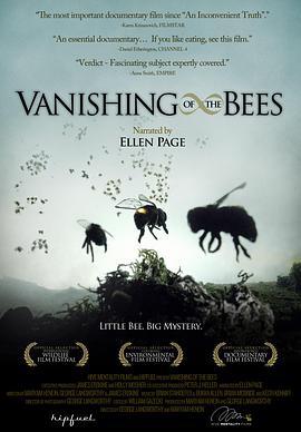 蜜蜂的消亡 Vanishing of the Bees (2009) - 毒蛇电影