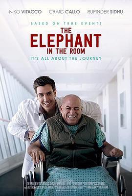 The Elephant In The Room  (2020) - 毒蛇电影