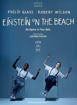 爱因斯坦在沙滩上 Einstein on the Beach (2014) - 毒蛇电影