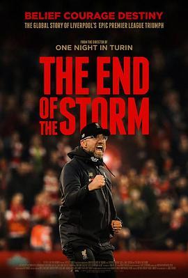 风暴尽头 The End of the Storm (2020) - 毒蛇电影