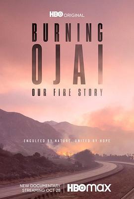 Burning Ojai: Our Fire Story  (2020) - 毒蛇电影