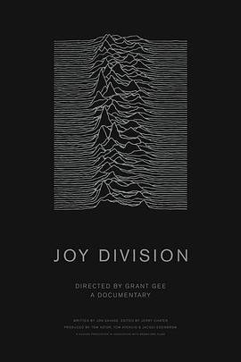 欢乐分裂 Joy Division (2007) - 毒蛇电影