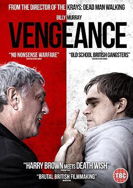 全力反击 Vengeance (2020) - 毒蛇电影