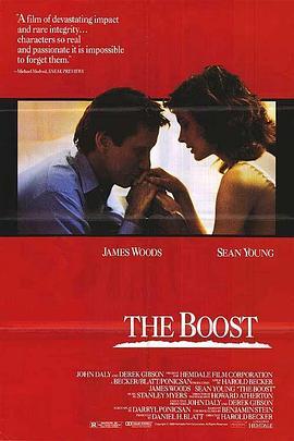 推波助澜 The Boost (1988) - 毒蛇电影