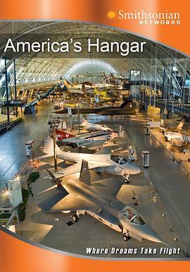 美国机库 America's Hangar (2007) - 毒蛇电影