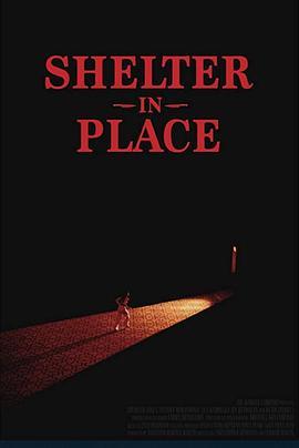 避难所就位 Shelter in Place (2021) - 毒蛇电影