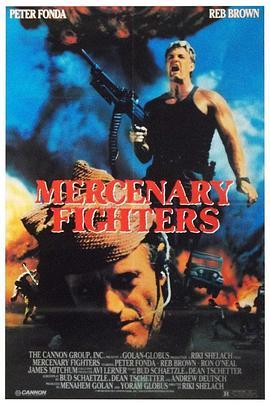 雇佣兵 Mercenary Fighters (1988) - 毒蛇电影