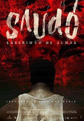 索多罗的灵魂迷宫 Saudó, laberinto de almas (2016) - 毒蛇电影