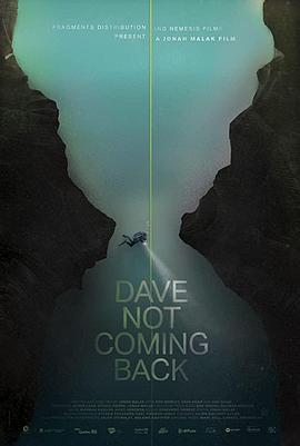 戴夫不回来了 Dave Not Coming Back (2020) - 毒蛇电影