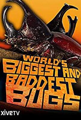 虫霸天下 World's Biggest and Baddest Bugs (2009) - 毒蛇电影