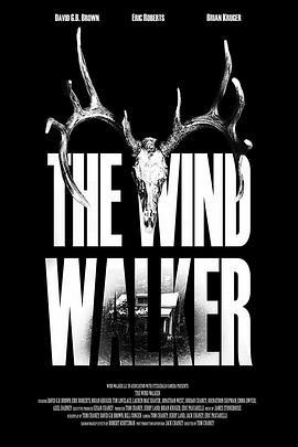 风行者 The Wind Walker (2020) - 毒蛇电影