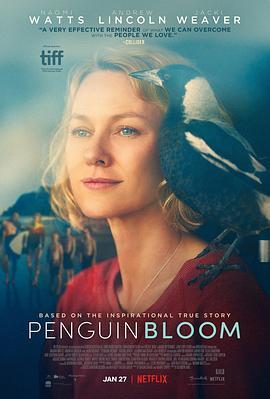 企鹅布鲁姆 Penguin Bloom (2020) - 毒蛇电影