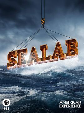 美国印象：海洋实验室 American Experience: Sealab (2019) - 毒蛇电影