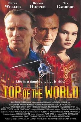 世界之巅 Top of the World (1998) - 毒蛇电影