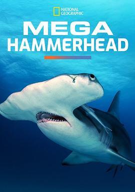 Mega Hammerhead  (2016) - 毒蛇电影