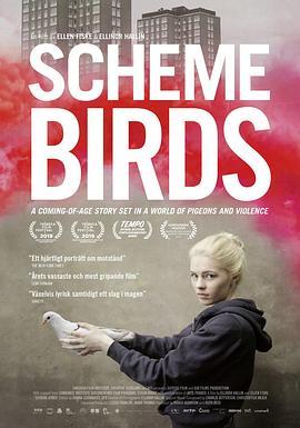 危巢青春 Scheme Birds (2018) - 毒蛇电影