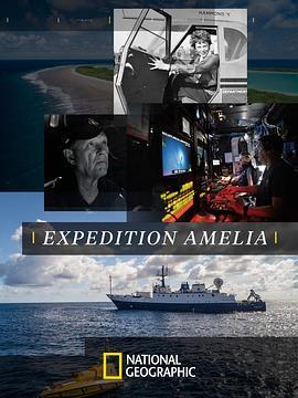 消失的女飞行员 Expedition Amelia (2019) - 毒蛇电影