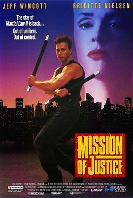 正义使者 Mission of Justice (1992) - 毒蛇电影