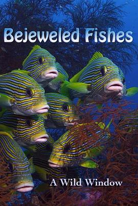 Wild Window: Bejeweled Fishes  (2016) - 毒蛇电影