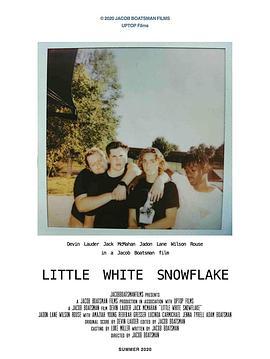 白色小雪花 Little White Snowflake (2020) - 毒蛇电影