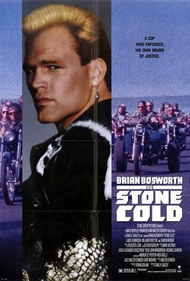 魔鬼歼击者 Stone Cold (1991) - 毒蛇电影