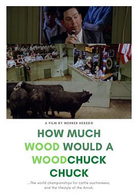 一只土拨鼠能啃掉多少木头 How much Wood would a Woodchuck chuck... - Beobachtungen zu einer neuen Sprache (1976) - 毒蛇电影