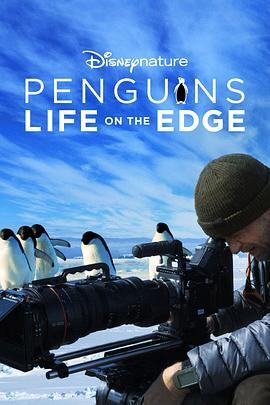 企鹅：极地追踪 Penguins: Life on the Edge (2020) - 毒蛇电影