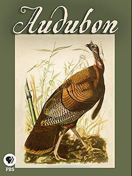 Audubon  (2017) - 毒蛇电影