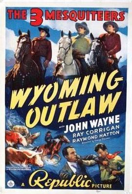 怀俄明歹徒 Wyoming Outlaw (1939) - 毒蛇电影