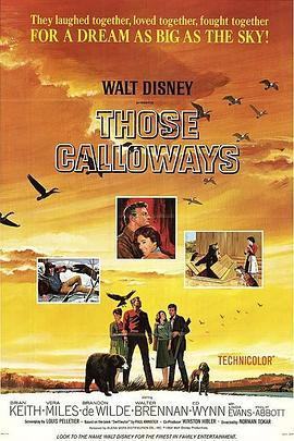 翠谷天伦 Those Calloways (1965) - 毒蛇电影